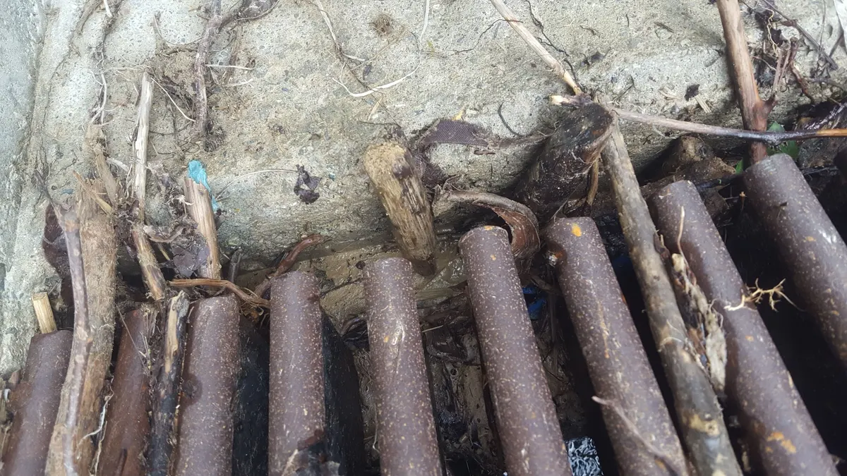 Troncos a la deriva y ramas atascados entre las barras de una reja de barras de acero convencional