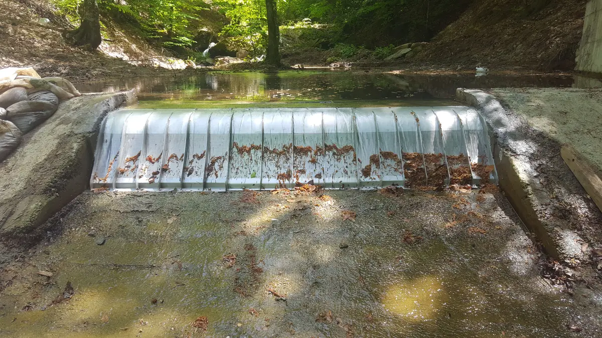 A Coanda intake screen installed across a small forest stream, leaves scattered on the structure