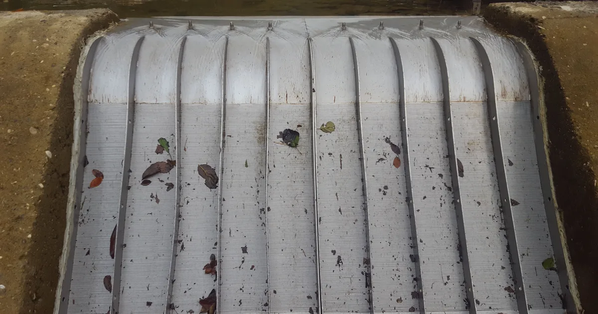 Silt, grit and small surface debris resting on the face of an installed Coanda screen