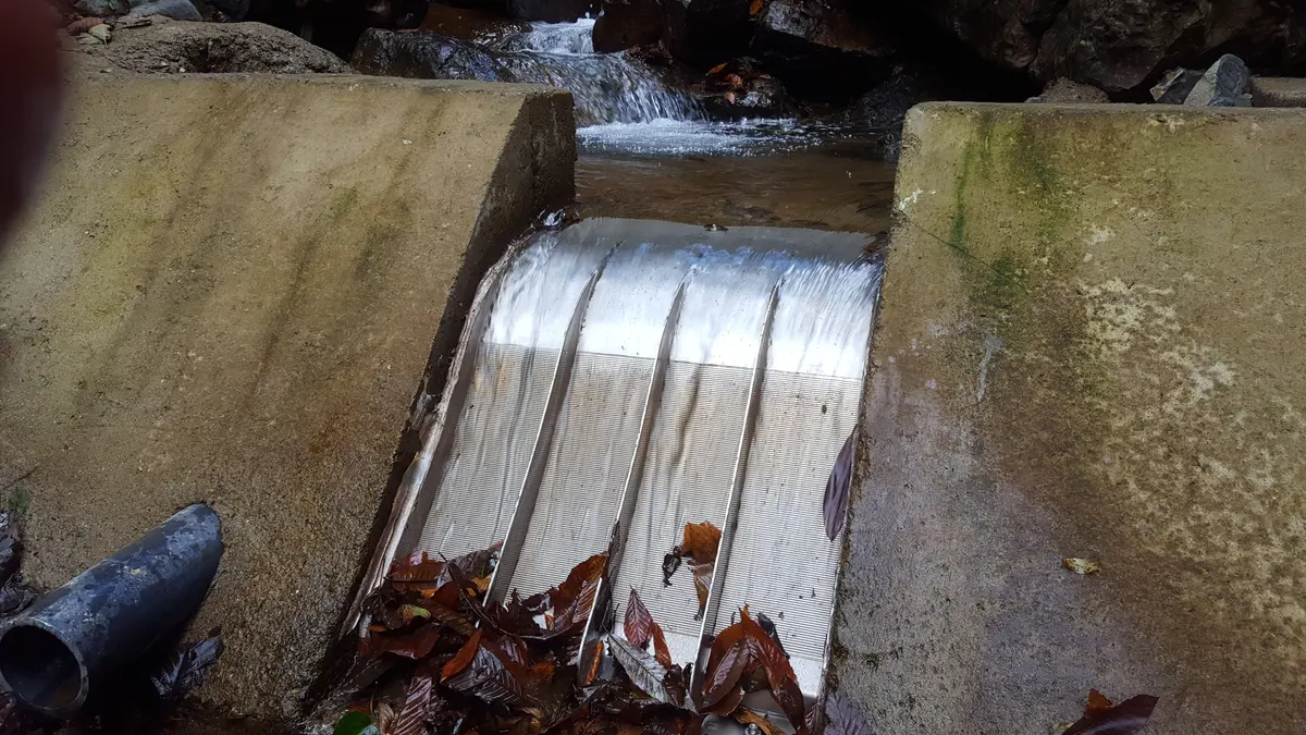 Blätter auf dem unteren Teil der Fläche eines Coanda-Rechens, während das Wasser weiter über die Spalte strömt