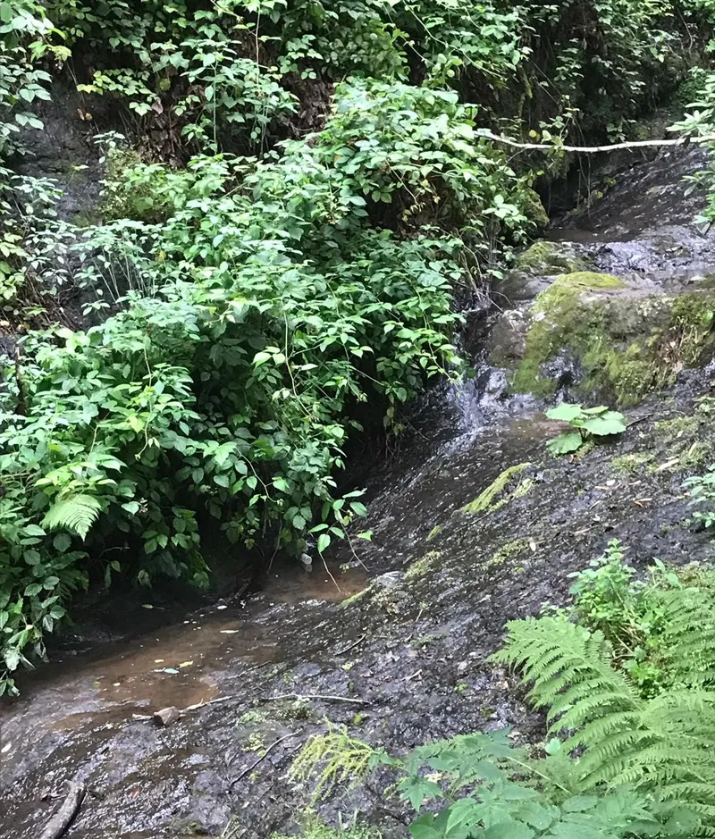 Beşikdüzü, Çakıllı, vor dem Bau der Wasserfassung: ein beschatteter Waldbach, der über nackten Fels fließt, ohne Einlaufbauwerk