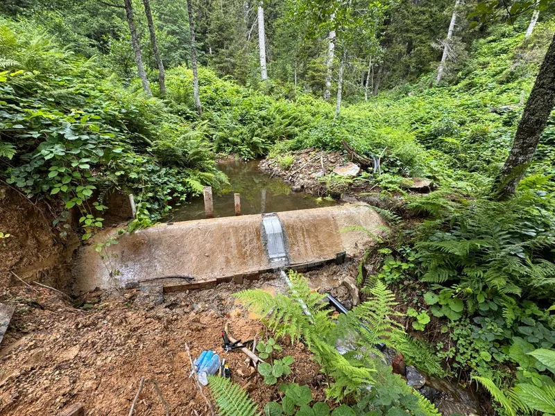 Rejilla de toma Coanda ADENCO-45-0.30, toma de 10 l/s para agua potable, toma en un claro del bosque con helechos, Trabzon, Türkiye
