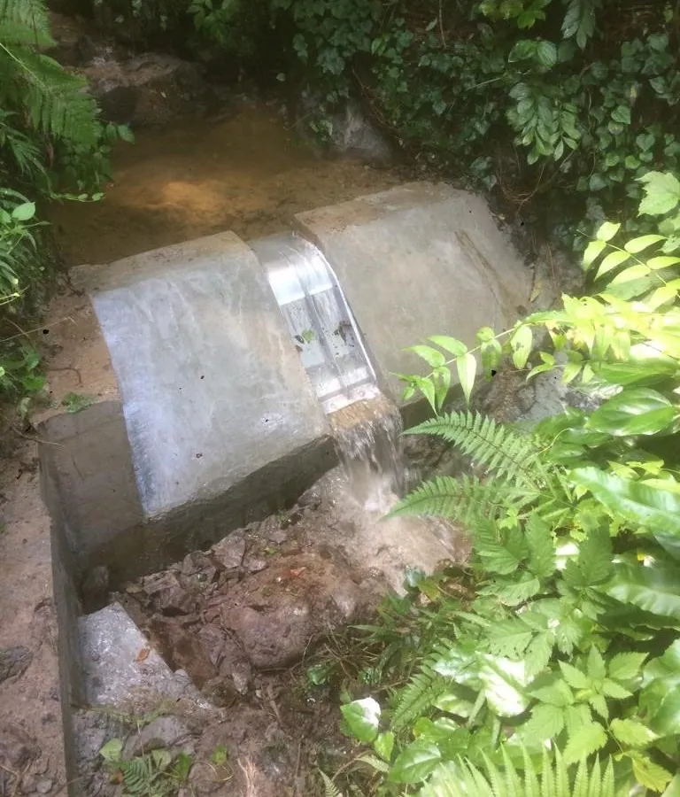 Rejilla de toma Coanda ADENCO-45-0.30, toma de 10 l/s para agua potable, Rejilla Coanda en una toma de agua forestal, entre helechos, Trabzon, Türkiye